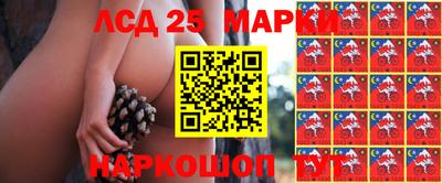 mdpv Новозыбков