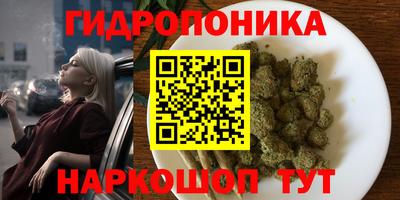 mdpv Новозыбков