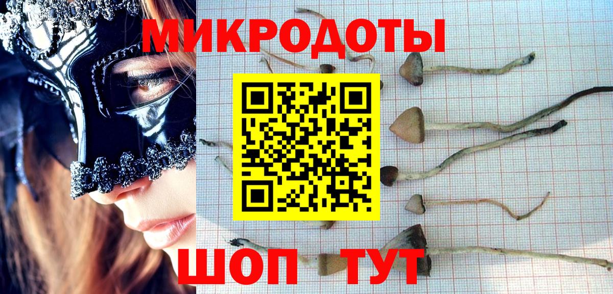 Свободный  Галлюциногенные грибы Psilocybe  Вход с VPN  Галлюциногенные грибы ЛСД 